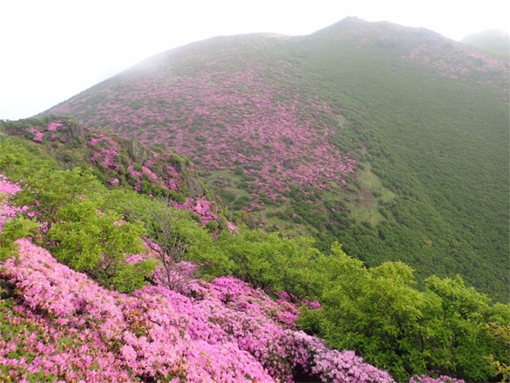 f:id:chococo324:20190609193500j:image