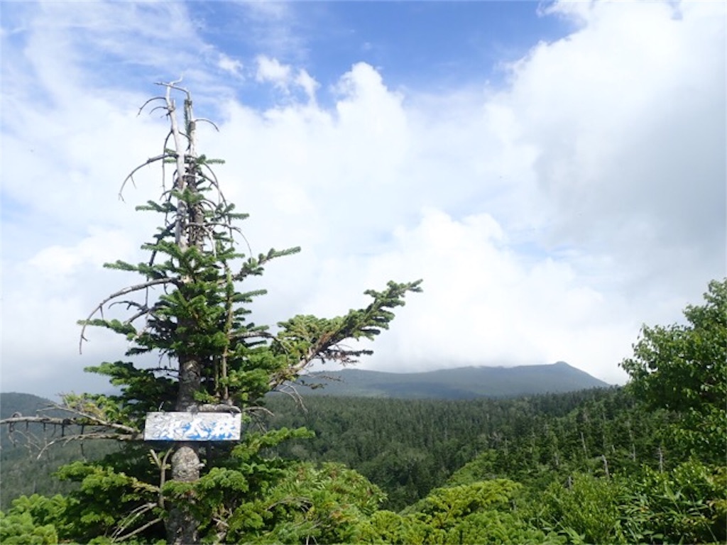 f:id:chococo324:20190807043344j:image f:id:chococo324:20190807043344j:image
