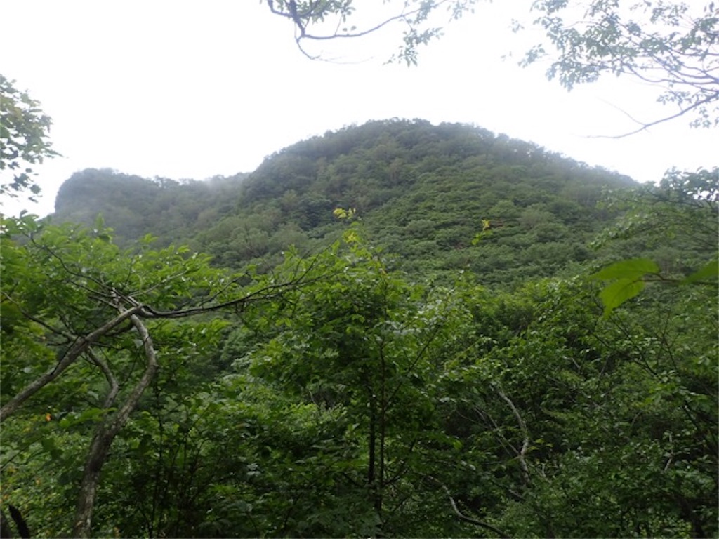 f:id:chococo324:20190822174232j:image