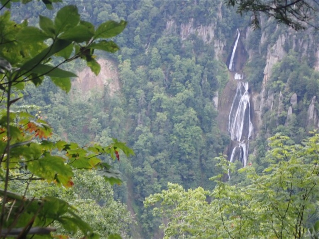 f:id:chococo324:20190916065707j:image f:id:chococo324:20190916065707j:image