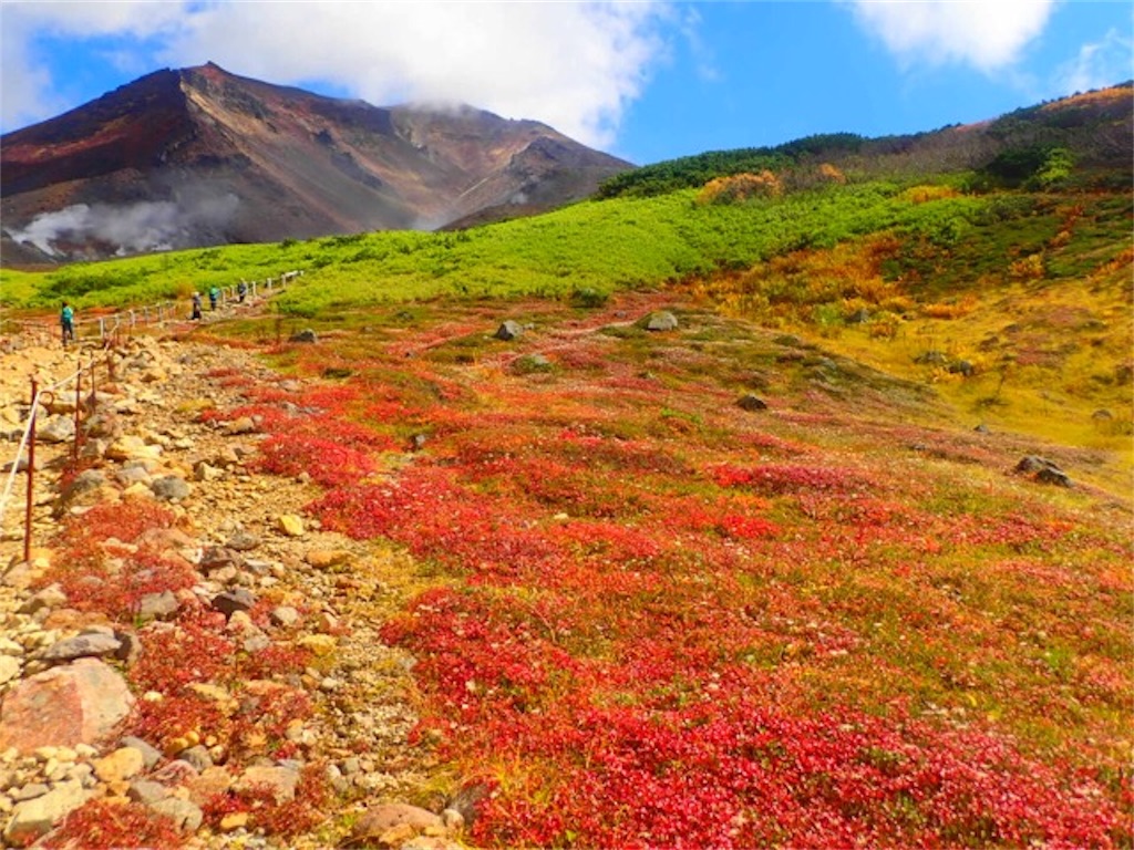 旭岳の麓の紅葉狩り 山に癒しを求めて ちょここの記録