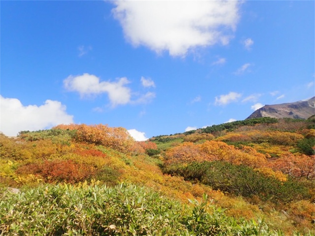 旭岳の麓の紅葉狩り 山に癒しを求めて ちょここの記録