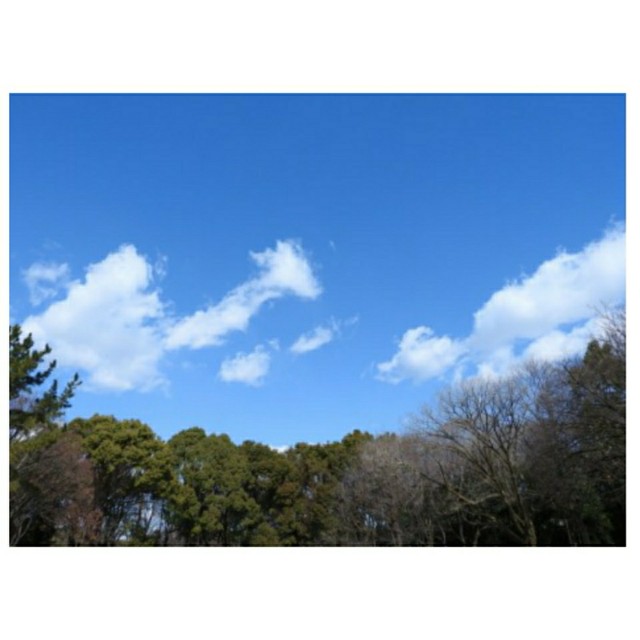 f:id:chococo43:20210213223235j:plain