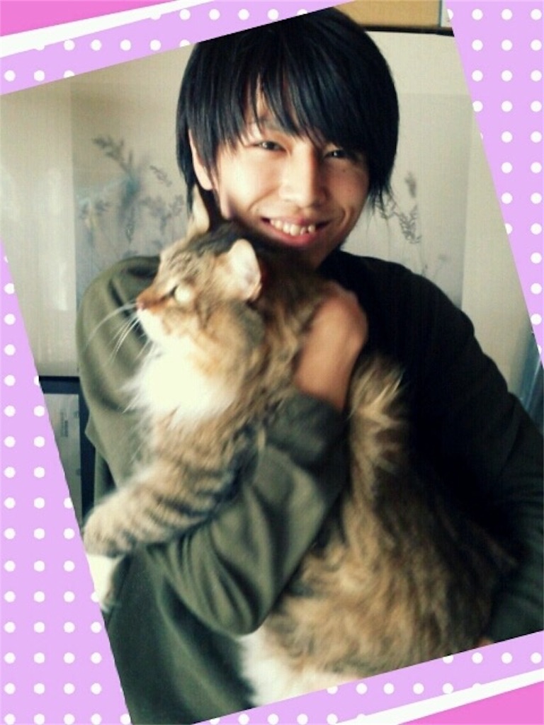f:id:chococonight:20170208215246j:image