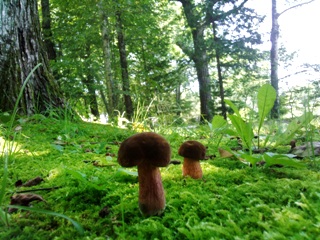 f:id:chocoeigo:20201016234422j:plain