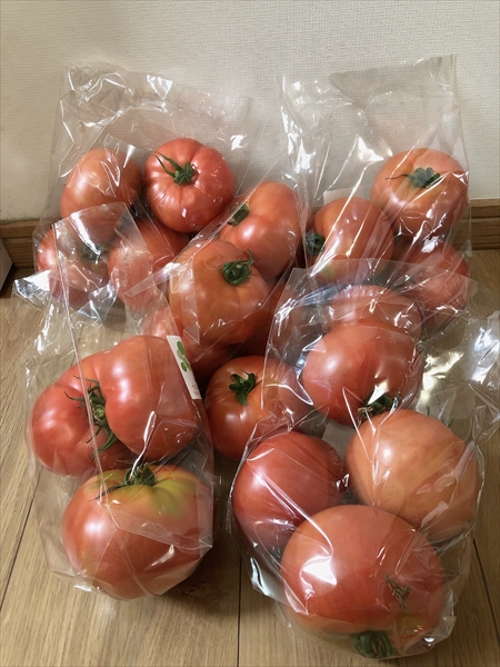大量に収穫したトマト