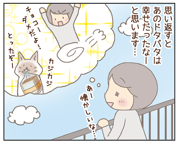 とっさに… - チョコごろね