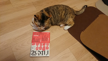 f:id:chocohima0802:20190716164102j:plain