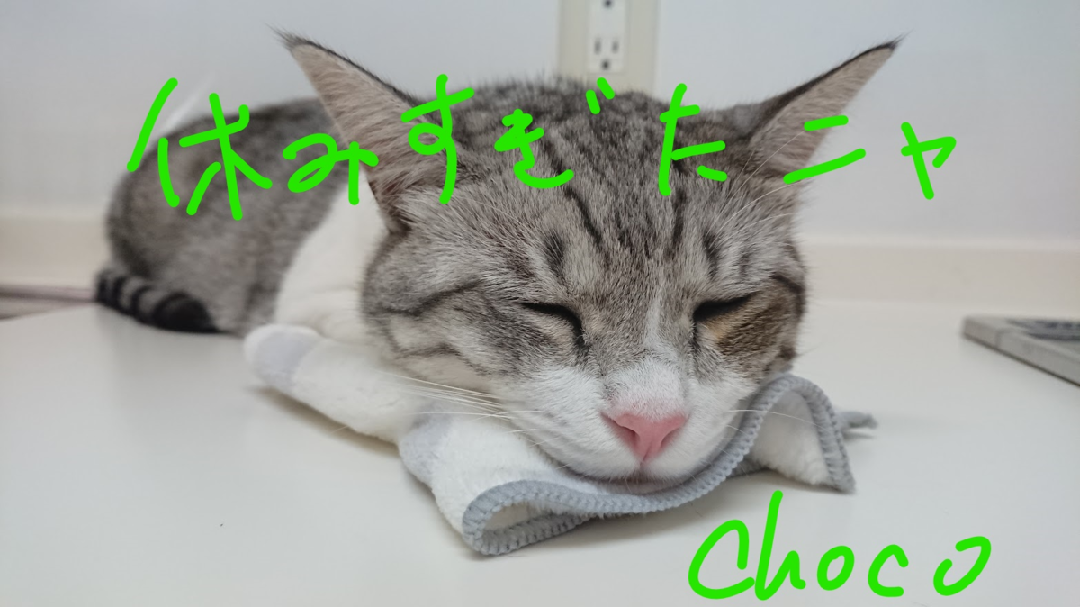 f:id:chocohima0802:20190811182727p:plain f:id:chocohima0802:20190811182727p:plain