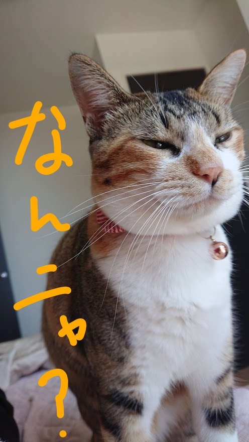 f:id:chocohima0802:20190811202049p:plain f:id:chocohima0802:20190811202049p:plain
