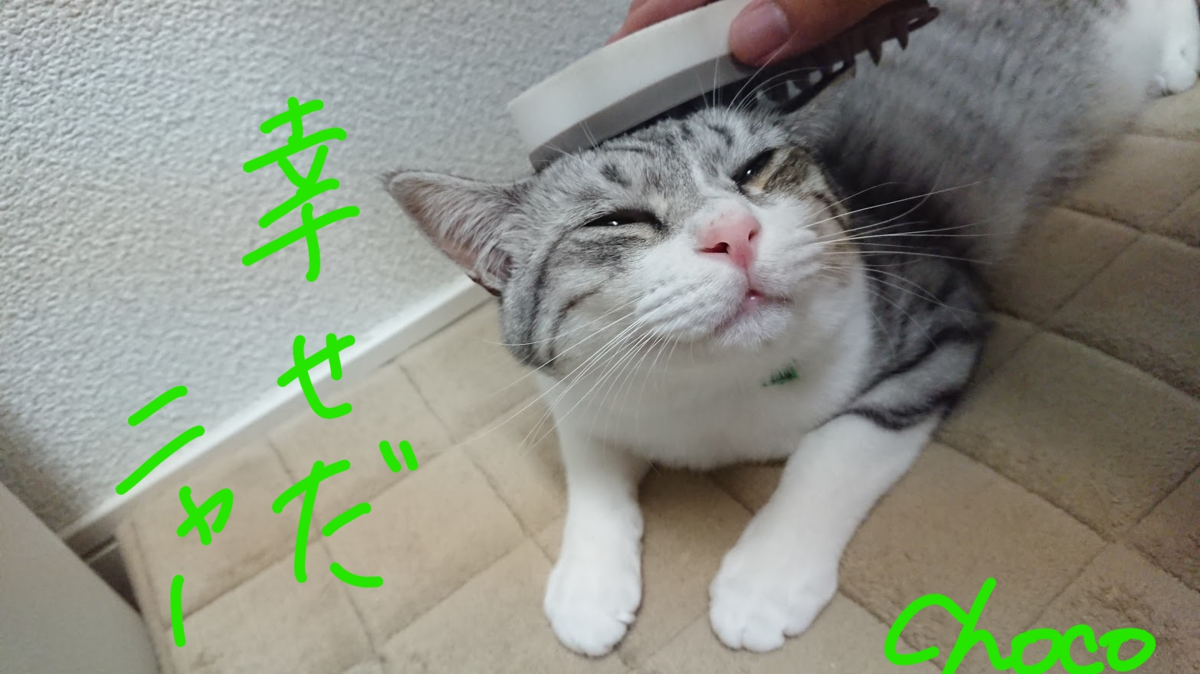 f:id:chocohima0802:20190811203406p:plain f:id:chocohima0802:20190811203406p:plain
