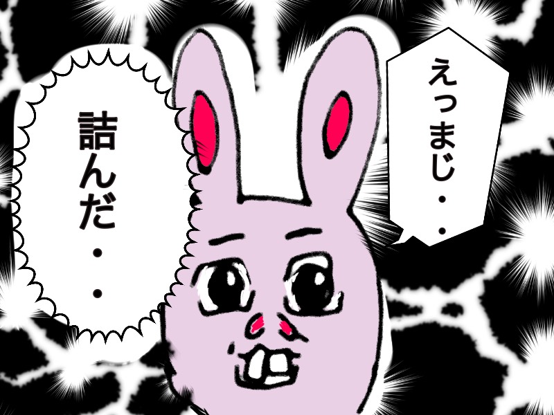 f:id:chocolapain_chaud:20191213080644j:plain