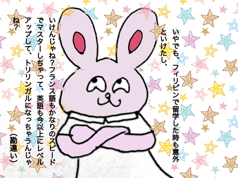 f:id:chocolapain_chaud:20191214111450j:plain