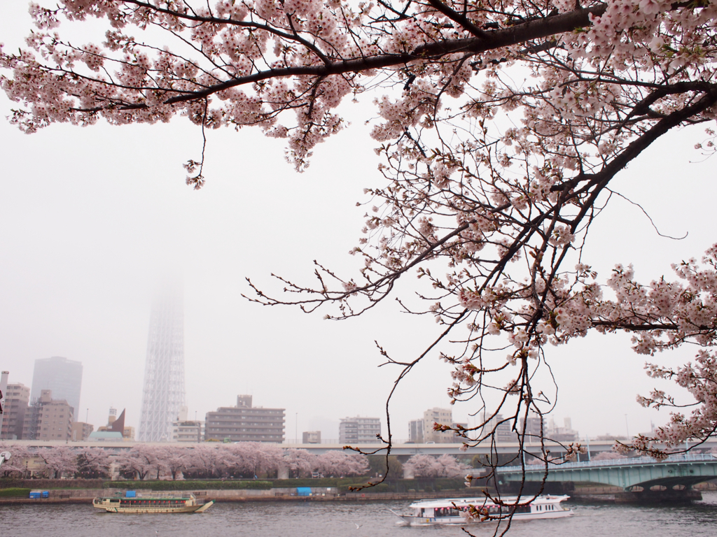 f:id:chocolat12:20170408213126j:plain f:id:chocolat12:20170408213126j:plain