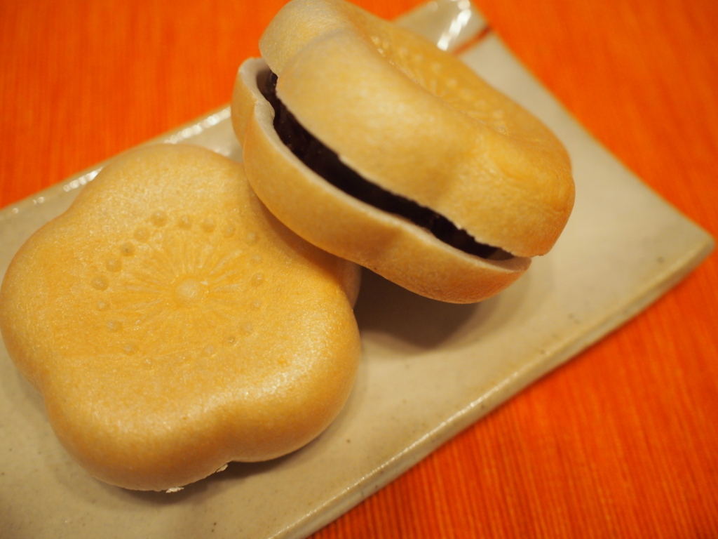 f:id:chocolat12:20171120230635j:plain