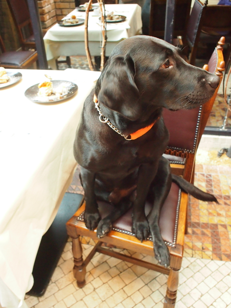 f:id:chocolat12:20171124225739j:plain f:id:chocolat12:20171124225739j:plain