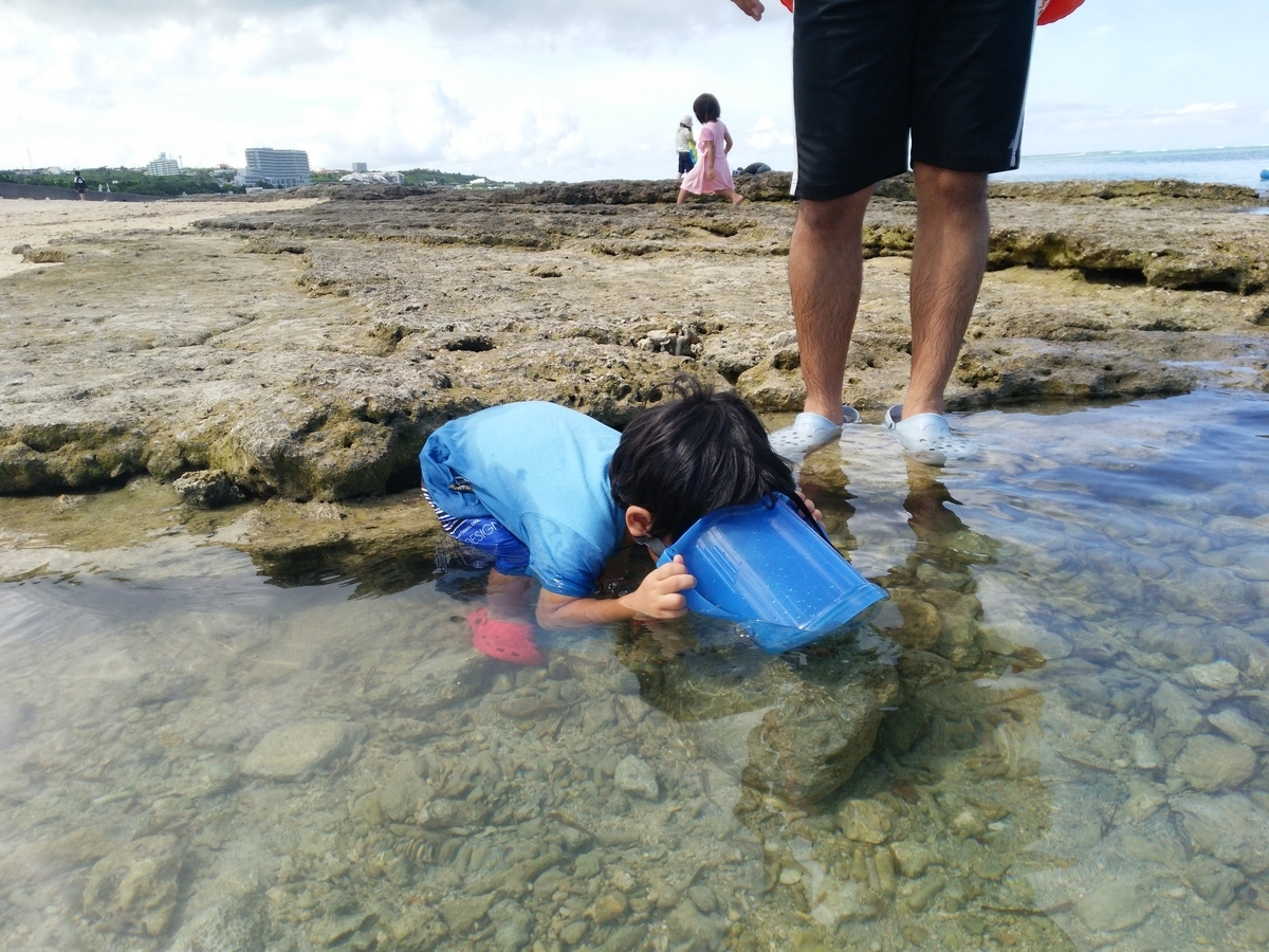 f:id:chocolat152:20200921184438j:plain