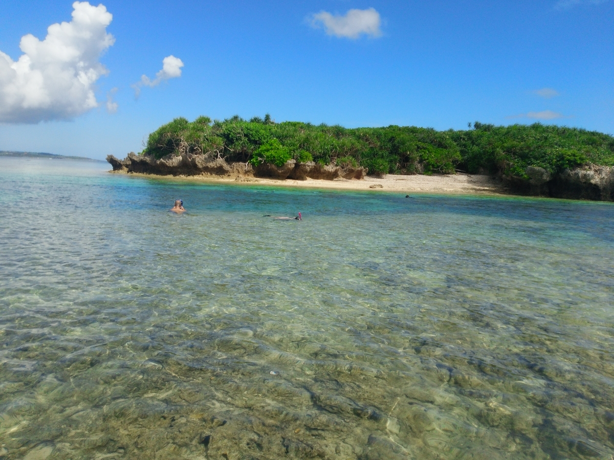 f:id:chocolat152:20200921184528j:plain