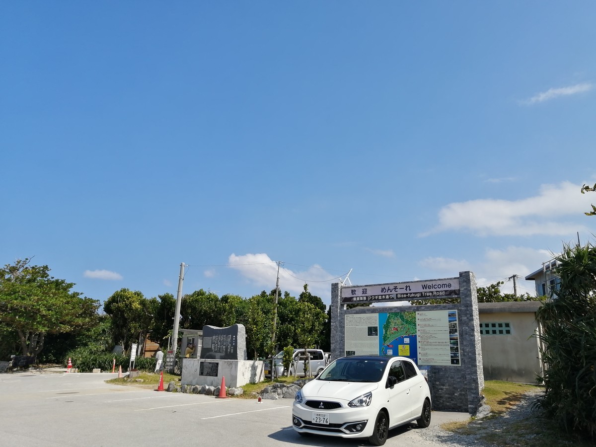 f:id:chocolat152:20201130003521j:plain