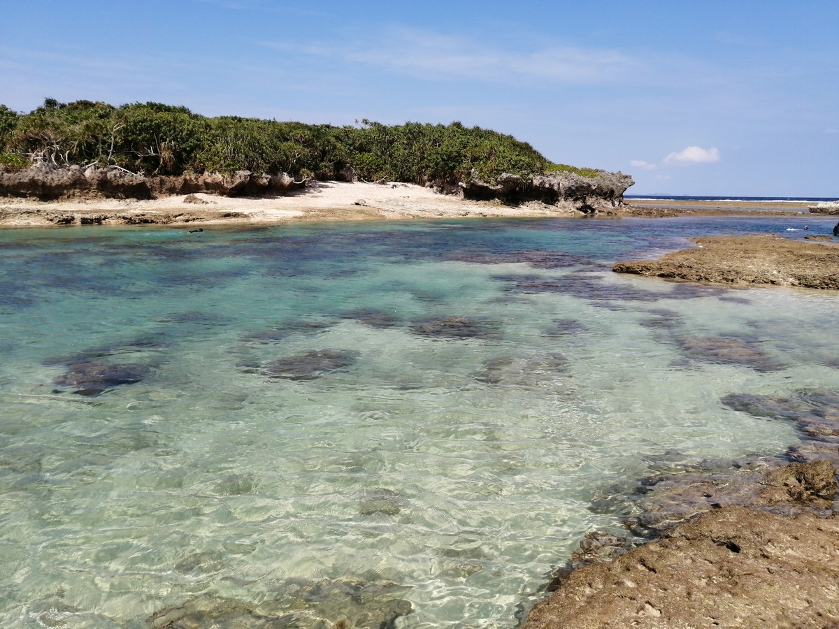 f:id:chocolat152:20201130003708j:plain