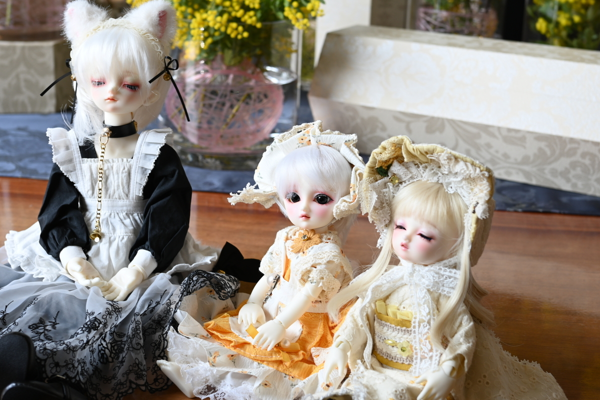 天使の里訪問～四季の華の会 弥生～ - Doll diary🎀