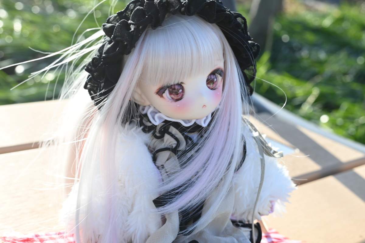 Doll diary🎀