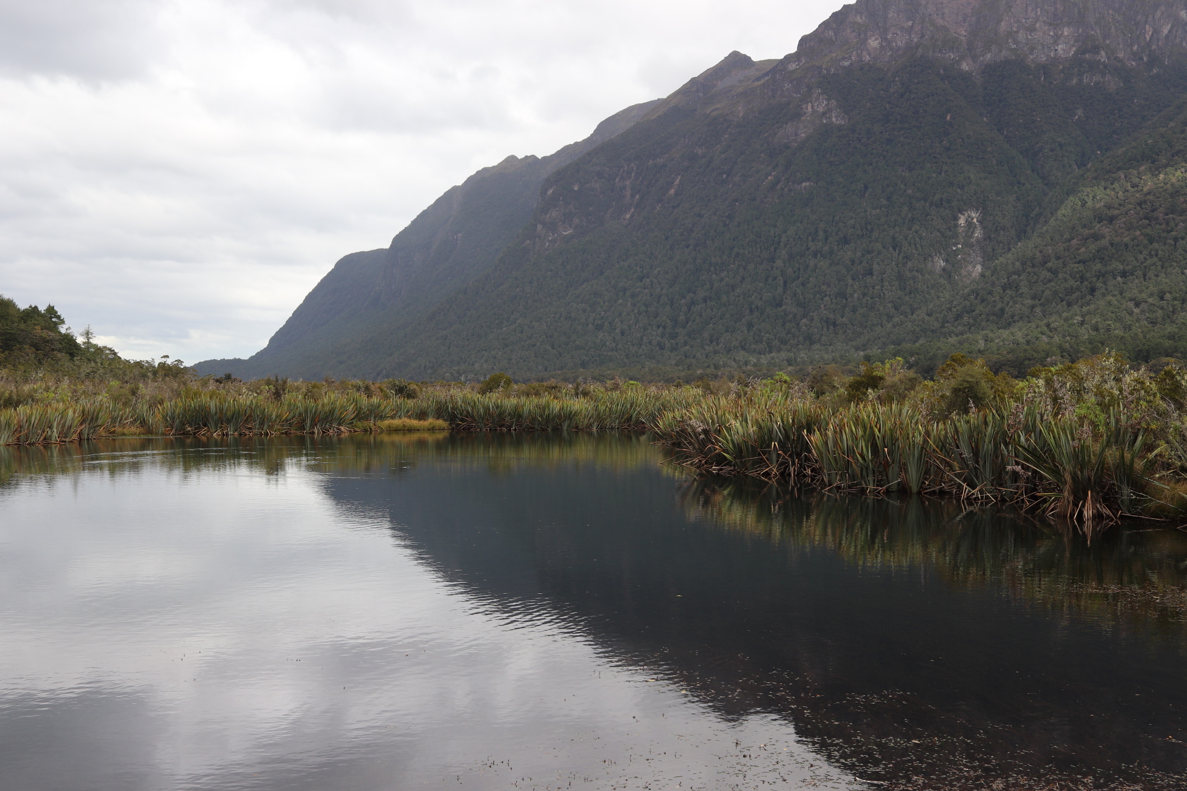 f:id:chocolatajump:20180330003530j:image