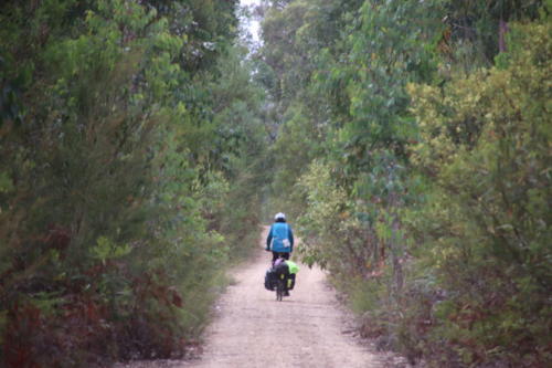 f:id:chocolatajump:20180427004215j:image