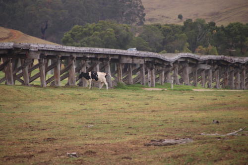 f:id:chocolatajump:20180427022621j:image