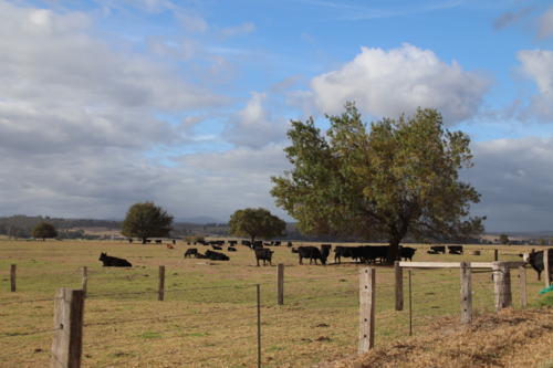 f:id:chocolatajump:20180427041311j:image