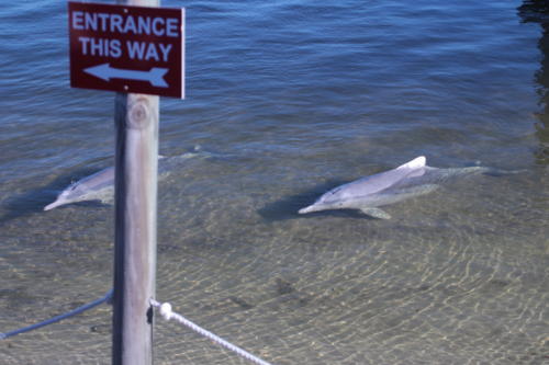 f:id:chocolatajump:20180531222514j:image