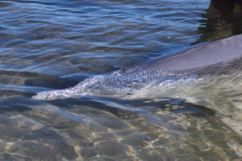 f:id:chocolatajump:20180531222815j:image