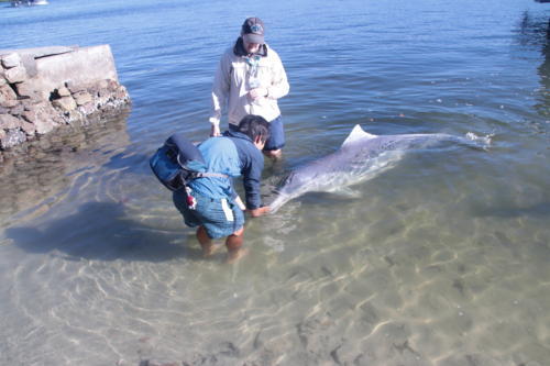 f:id:chocolatajump:20180531225748j:image