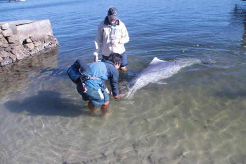 f:id:chocolatajump:20180531225749j:image