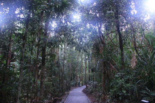 f:id:chocolatajump:20180629042816j:image