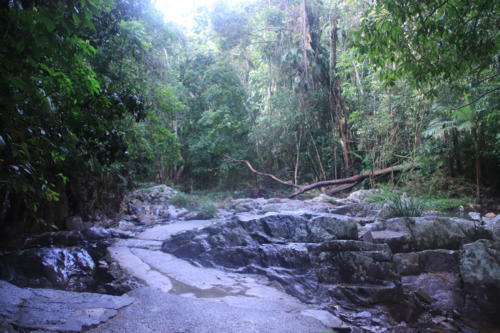 f:id:chocolatajump:20180629043558j:image