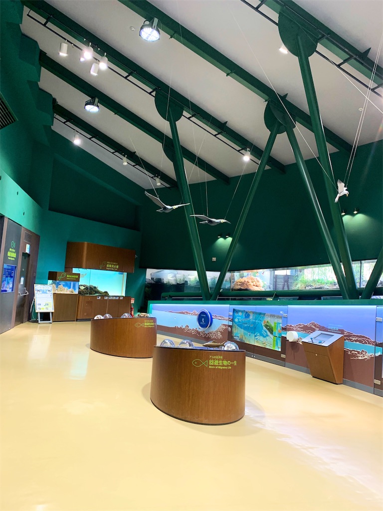 子連れお出かけに 相模原市の水族館 相模川ふれあい科学館 アクアリウムさがみはら オルビス好き歯科医のレビューブログ