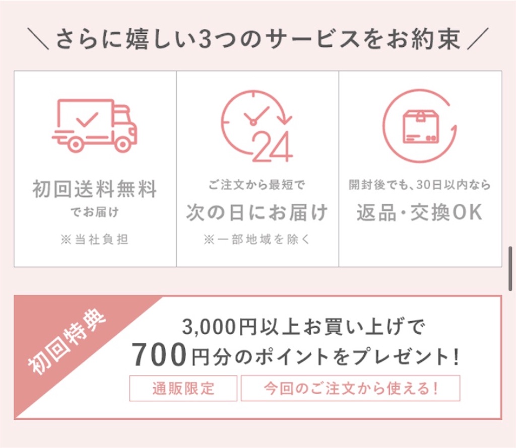 f:id:chocolate_ayaka:20191105225729j:image