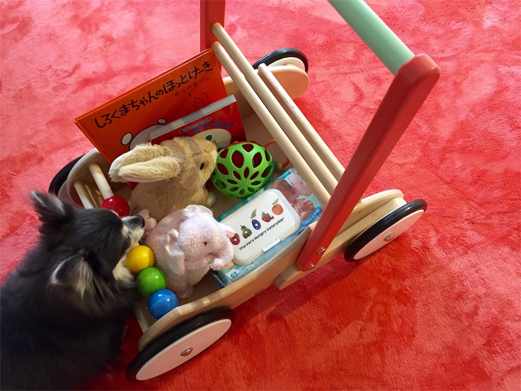 つかまり立ちをはじめたらボーネルンドの手押し車で歩く練習! - ちわ