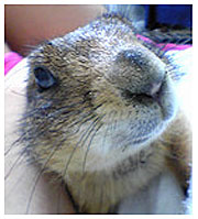 f:id:chocomarine:20191106153826j:plain f:id:chocomarine:20191106153826j:plain