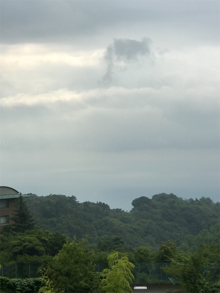 f:id:chocomoko:20180729162043j:image f:id:chocomoko:20180729162043j:image