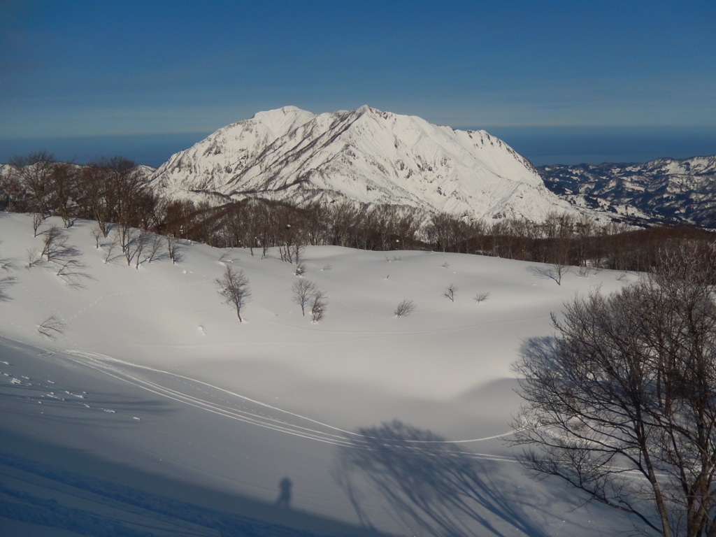 f:id:chocomountain:20170130203104j:plain