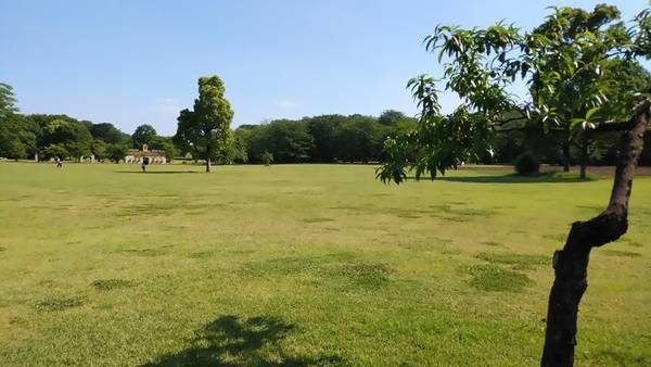 壬生町　わんぱく公園　風の原っぱ