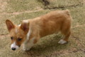 20040321103736