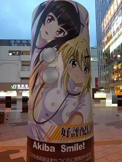 f:id:chocopurin:20170814232109j:image