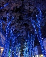 f:id:chocopurin:20171120212959j:image f:id:chocopurin:20171120212959j:image