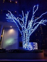 f:id:chocopurin:20171221005529j:image