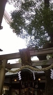 f:id:chocopurin:20180108200217j:image