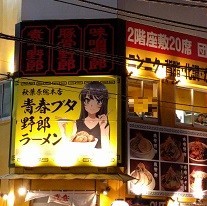 f:id:chocopurin:20190102201228j:image