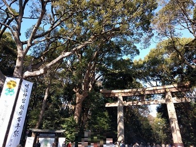 f:id:chocopurin:20200119225332j:plain